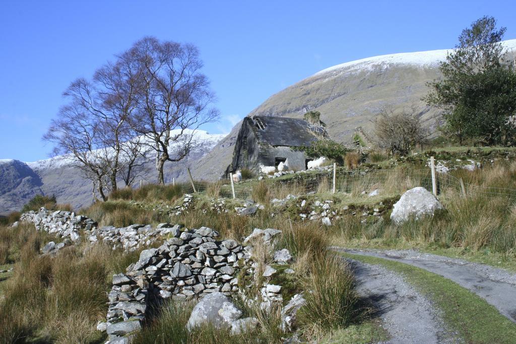 Riverlodge Self Catering Kenmare Bilik gambar